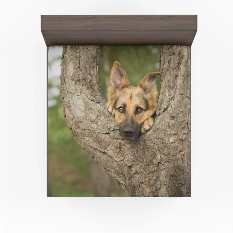 German Shepherd Bokeh Gaze Furry Beauty Fitted Sheet 1