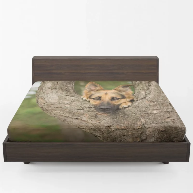 German Shepherd Bokeh Gaze Furry Beauty Fitted Sheet