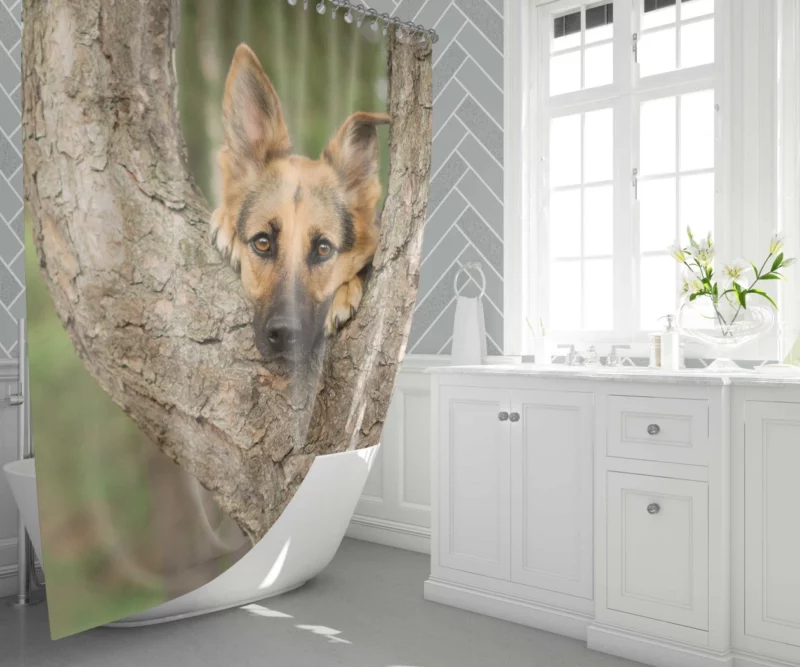 German Shepherd Bokeh Gaze Furry Beauty Shower Curtain 1