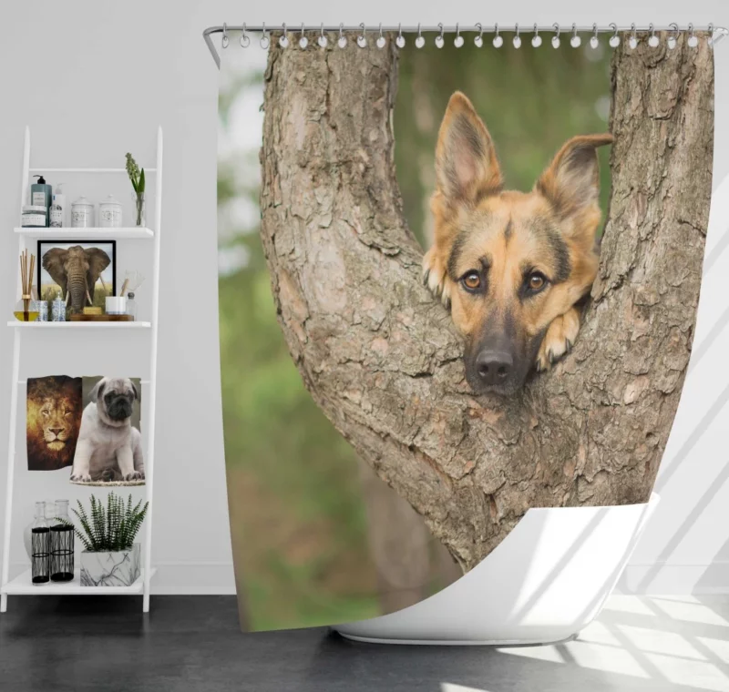 German Shepherd Bokeh Gaze Furry Beauty Shower Curtain