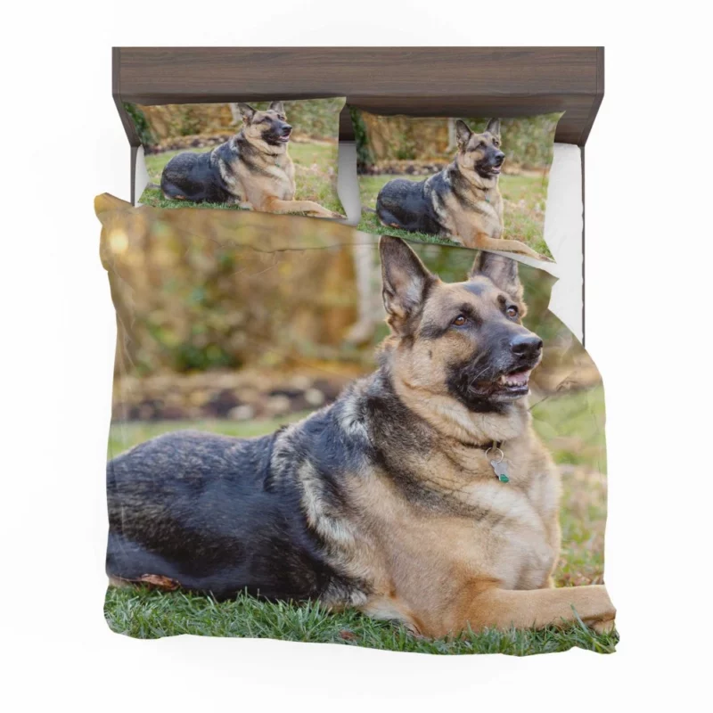 German Shepherd Canine Excellence Bedding Set 1