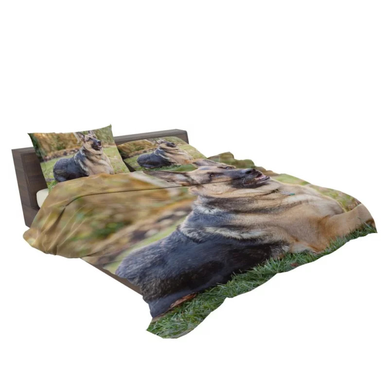 German Shepherd Canine Excellence Bedding Set 2