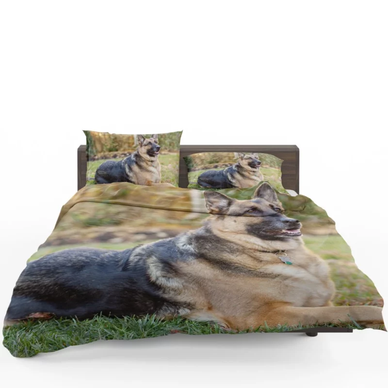 German Shepherd Canine Excellence Bedding Set