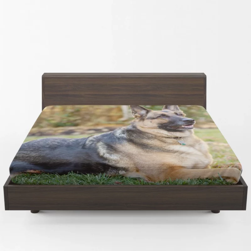 German Shepherd Canine Excellence Fitted Sheet