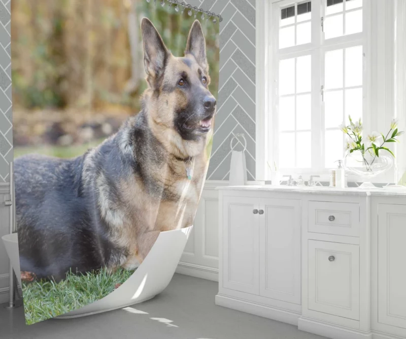 German Shepherd Canine Excellence Shower Curtain 1