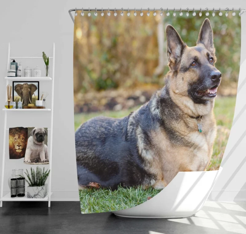 German Shepherd Canine Excellence Shower Curtain