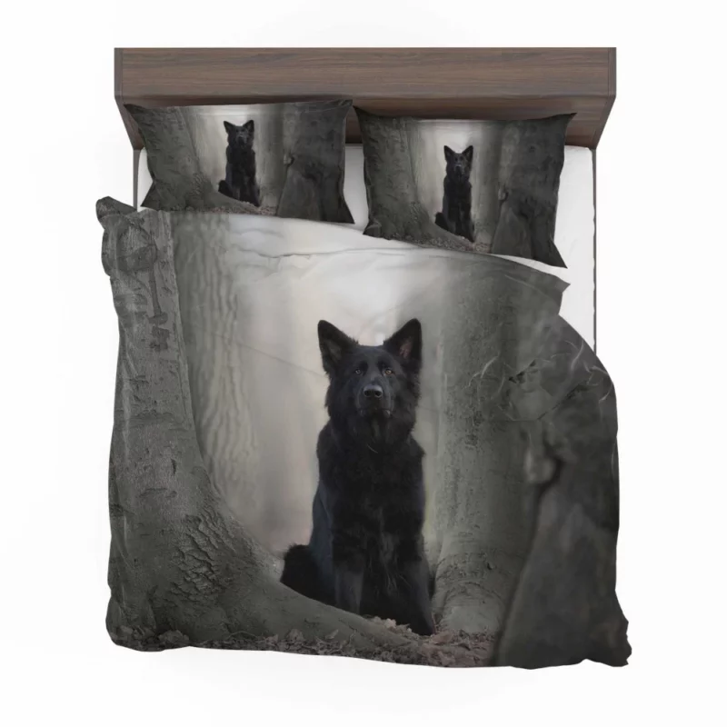 German Shepherd Captivating Gaze Bedding Set 1