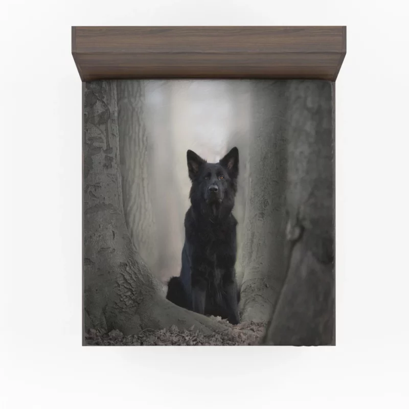 German Shepherd Captivating Gaze Fitted Sheet 1