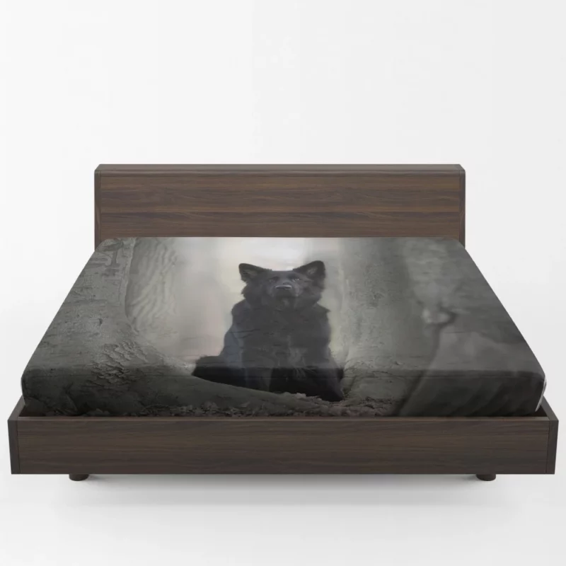 German Shepherd Captivating Gaze Fitted Sheet