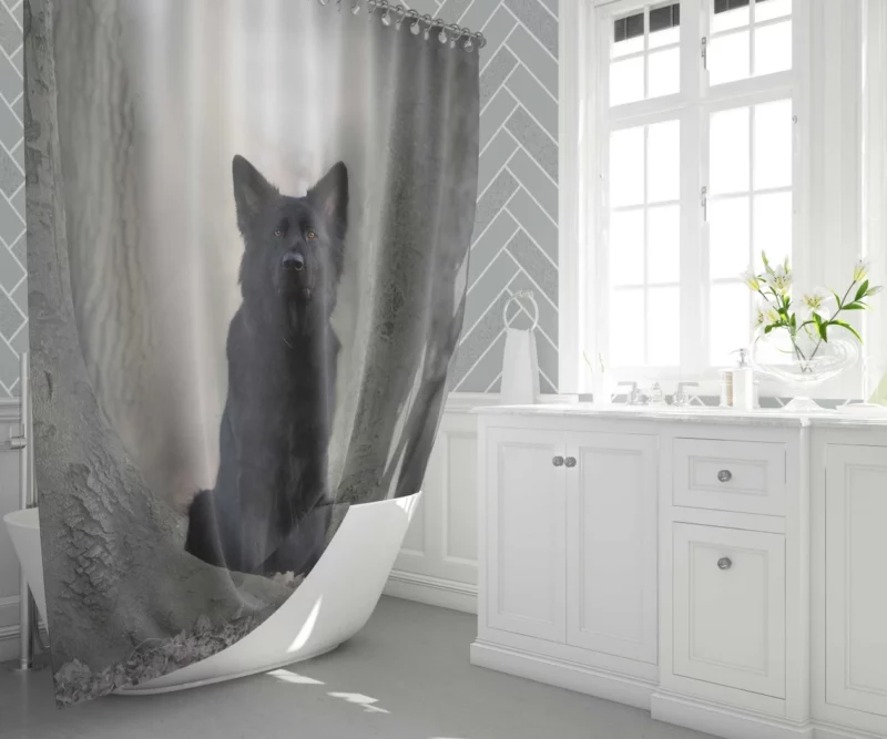 German Shepherd Captivating Gaze Shower Curtain 1