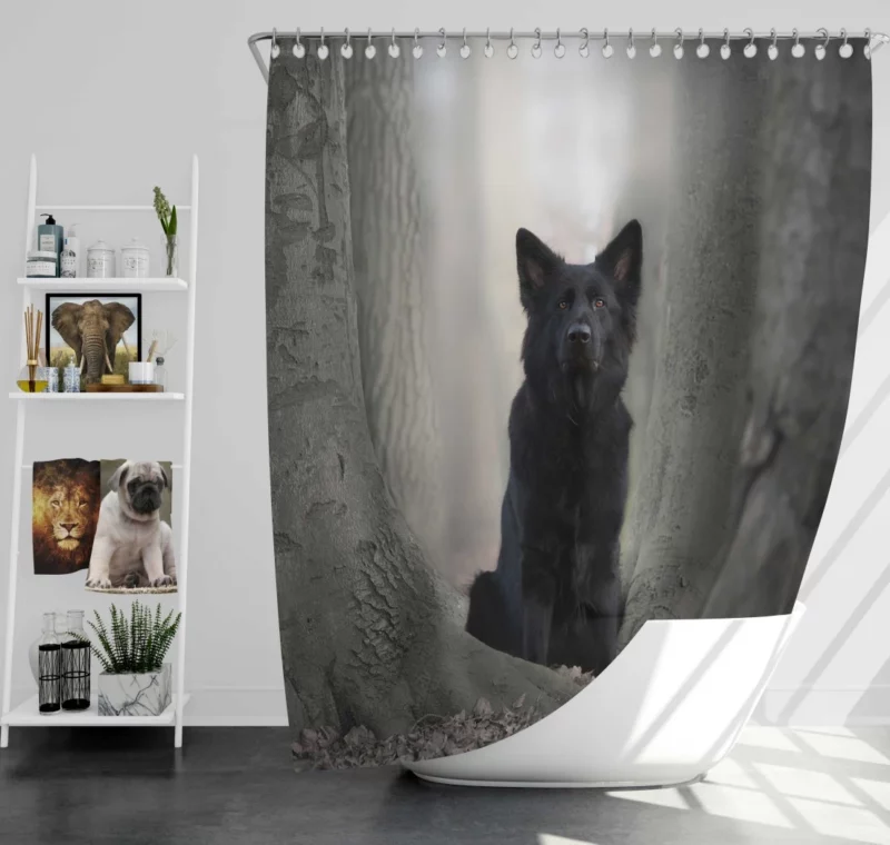 German Shepherd Captivating Gaze Shower Curtain