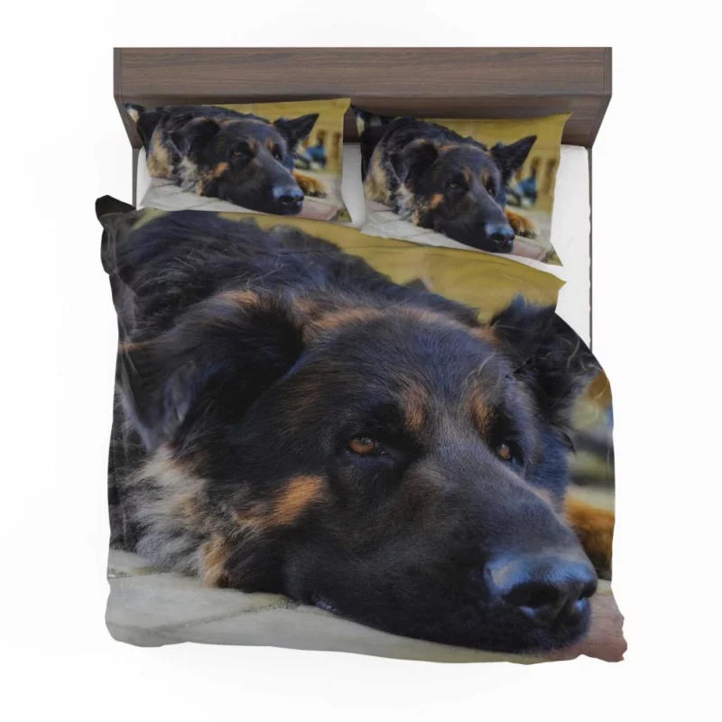 German Shepherd Close-Up Rest Intimate Beauty Bedding Set 1