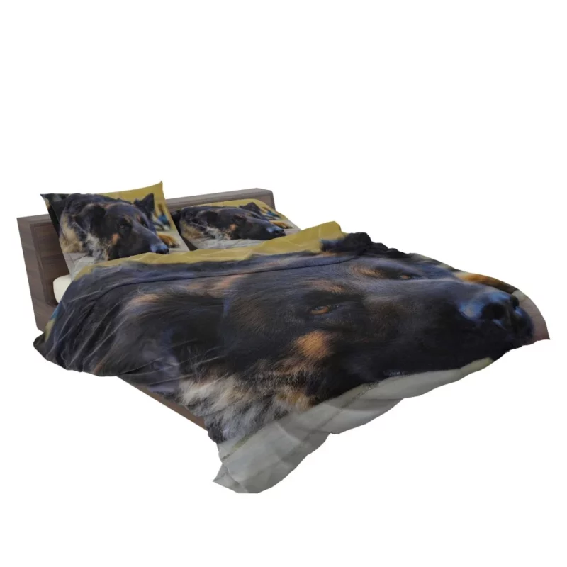 German Shepherd Close-Up Rest Intimate Beauty Bedding Set 2