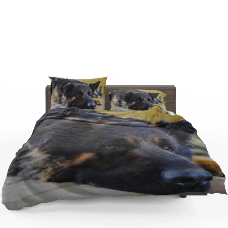 German Shepherd Close-Up Rest Intimate Beauty Bedding Set