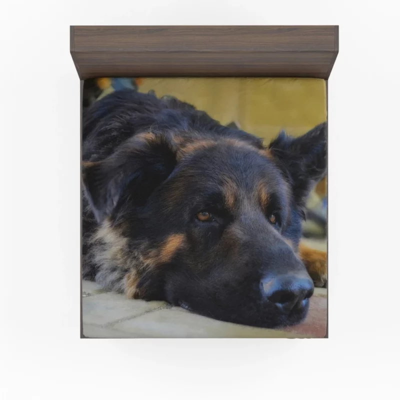 German Shepherd Close-Up Rest Intimate Beauty Fitted Sheet 1