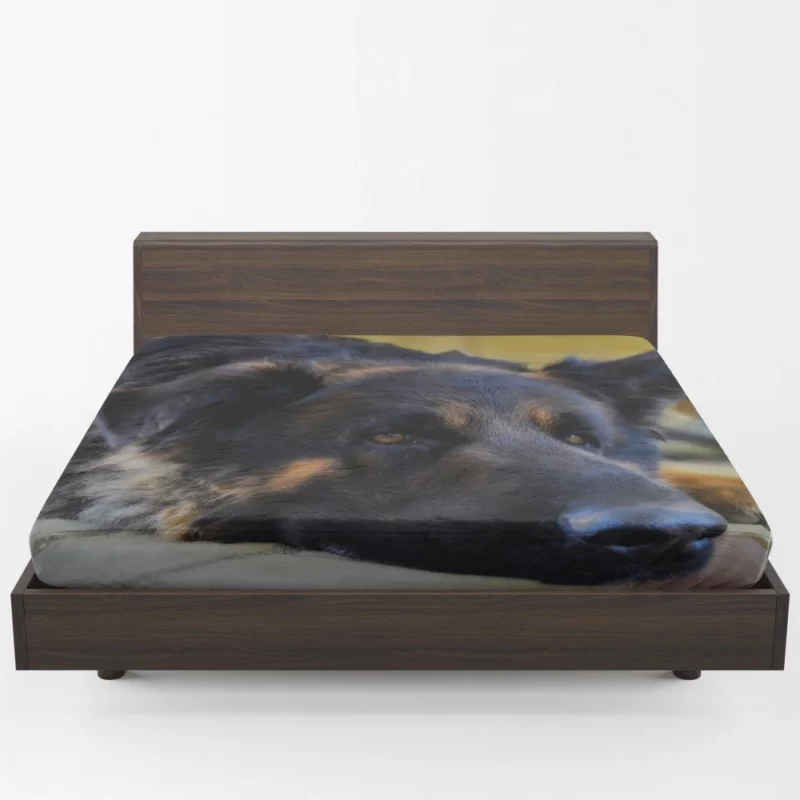 German Shepherd Close-Up Rest Intimate Beauty Fitted Sheet