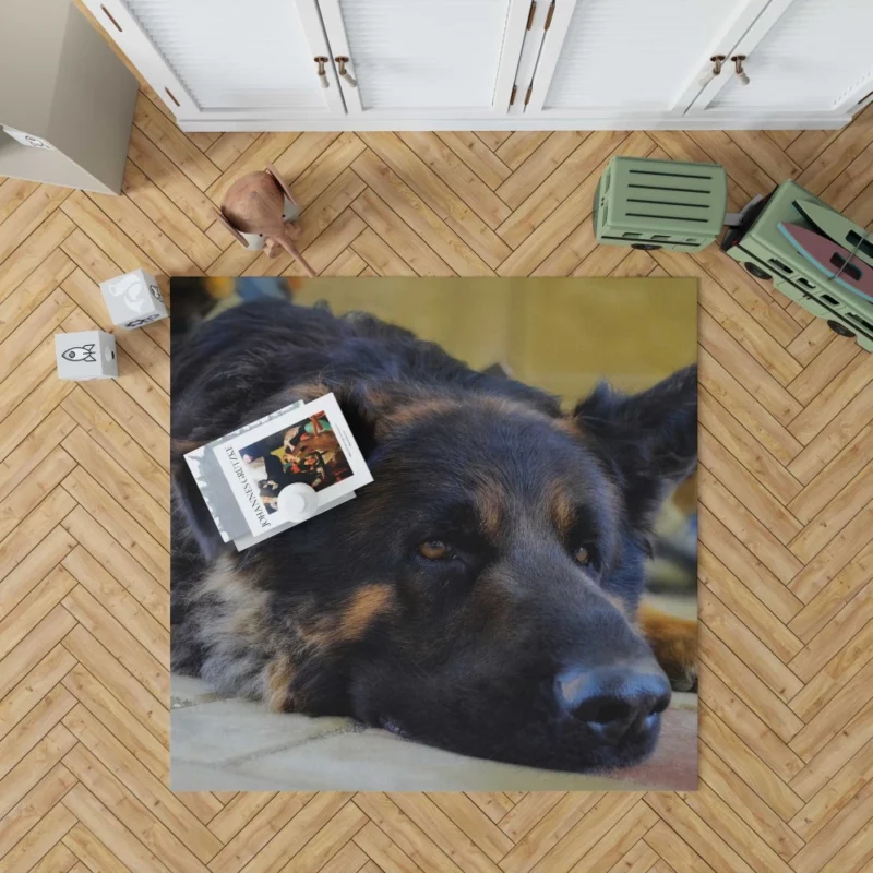 German Shepherd Close-Up Rest Intimate Beauty Rug