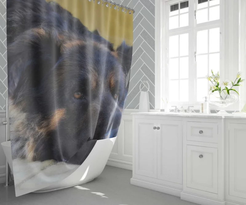 German Shepherd Close-Up Rest Intimate Beauty Shower Curtain 1