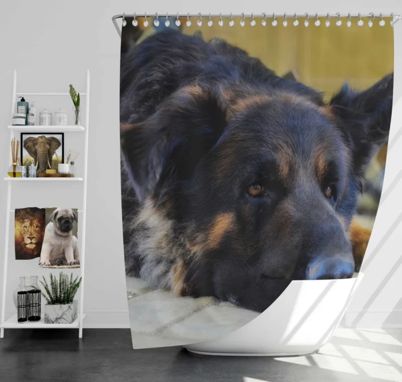 German Shepherd Close-Up Rest Intimate Beauty Shower Curtain