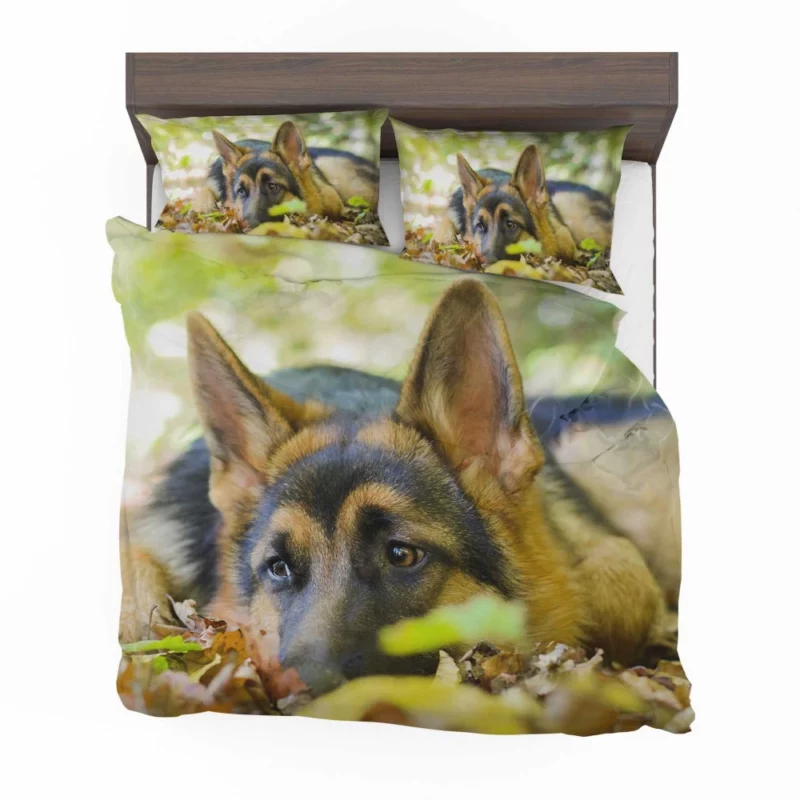 German Shepherd Cute Rest Autumnal Beauty Bedding Set 1