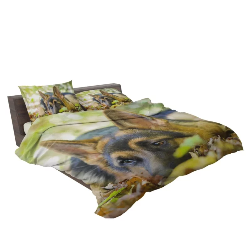 German Shepherd Cute Rest Autumnal Beauty Bedding Set 2