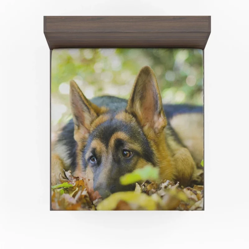 German Shepherd Cute Rest Autumnal Beauty Fitted Sheet 1