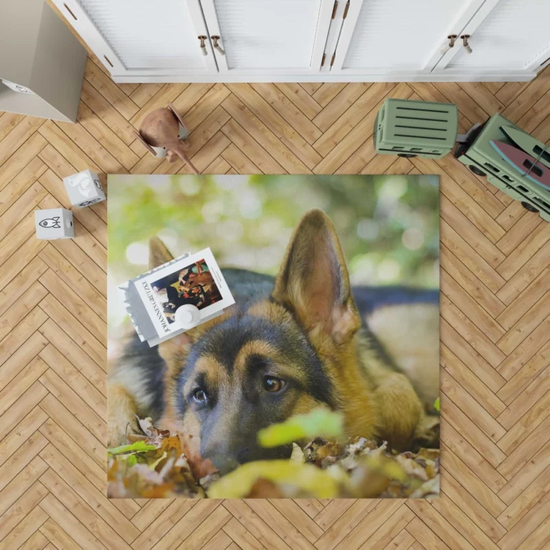 German Shepherd Cute Rest Autumnal Beauty Rug