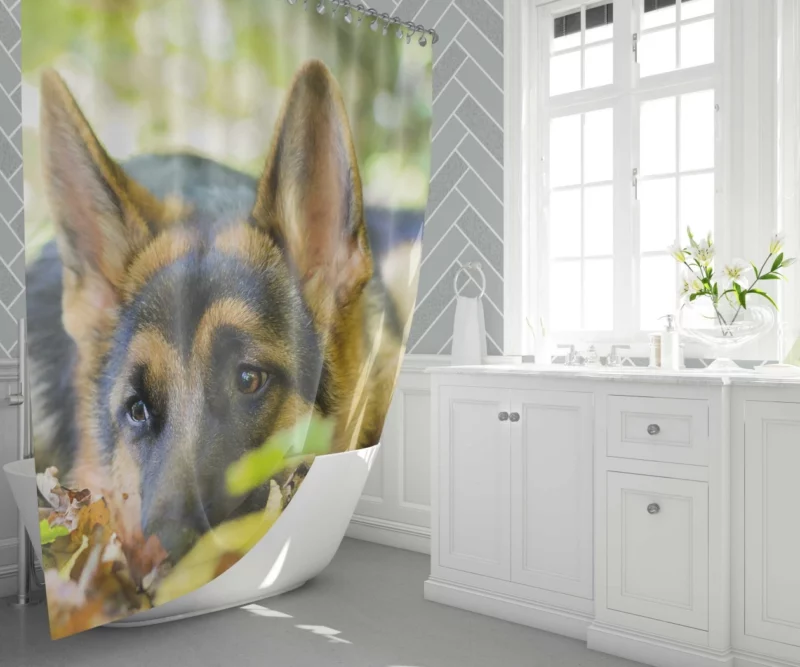 German Shepherd Cute Rest Autumnal Beauty Shower Curtain 1