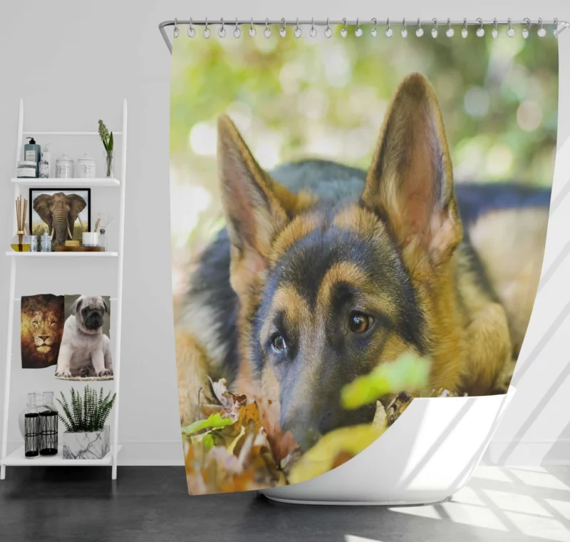 German Shepherd Cute Rest Autumnal Beauty Shower Curtain