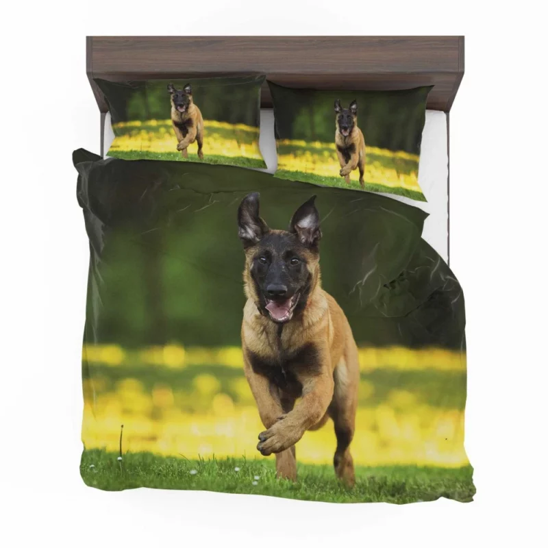 German Shepherd Depth of Field Essence Bedding Set 1