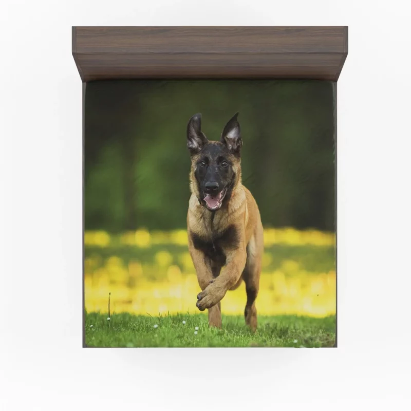 German Shepherd Depth of Field Essence Fitted Sheet 1