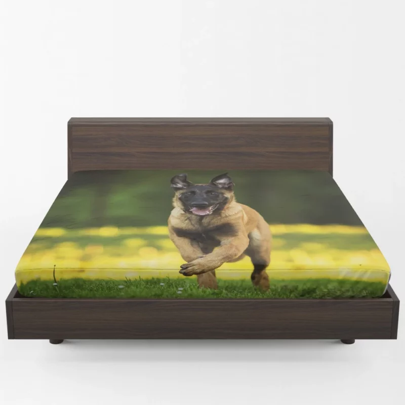 German Shepherd Depth of Field Essence Fitted Sheet