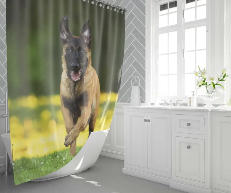 German Shepherd Depth of Field Essence Shower Curtain 1