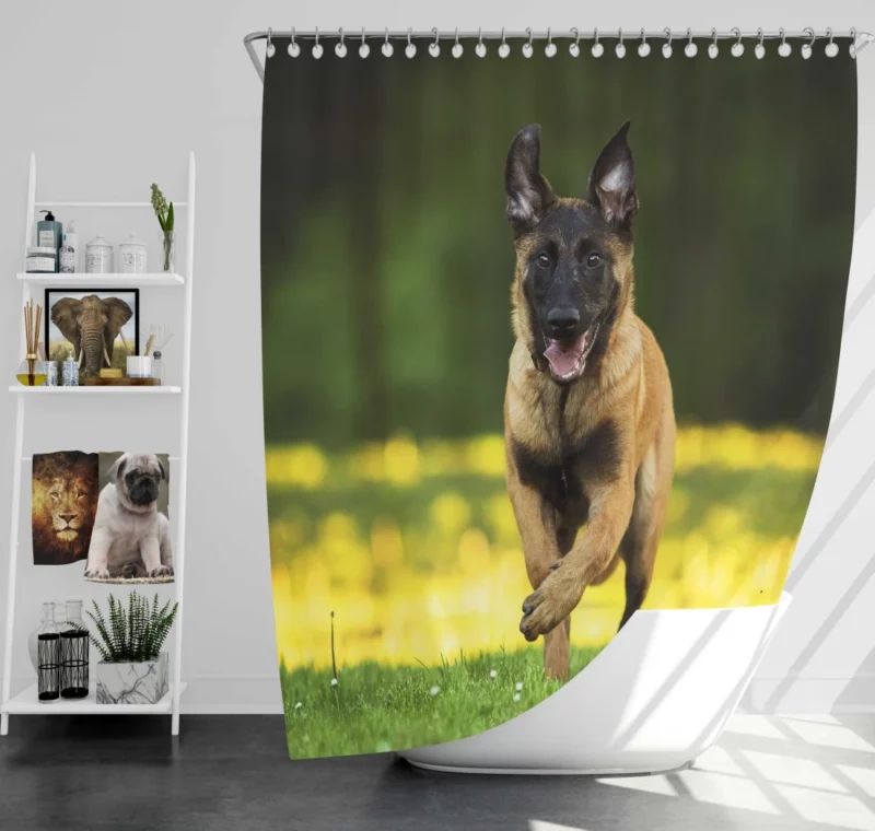 German Shepherd Depth of Field Essence Shower Curtain