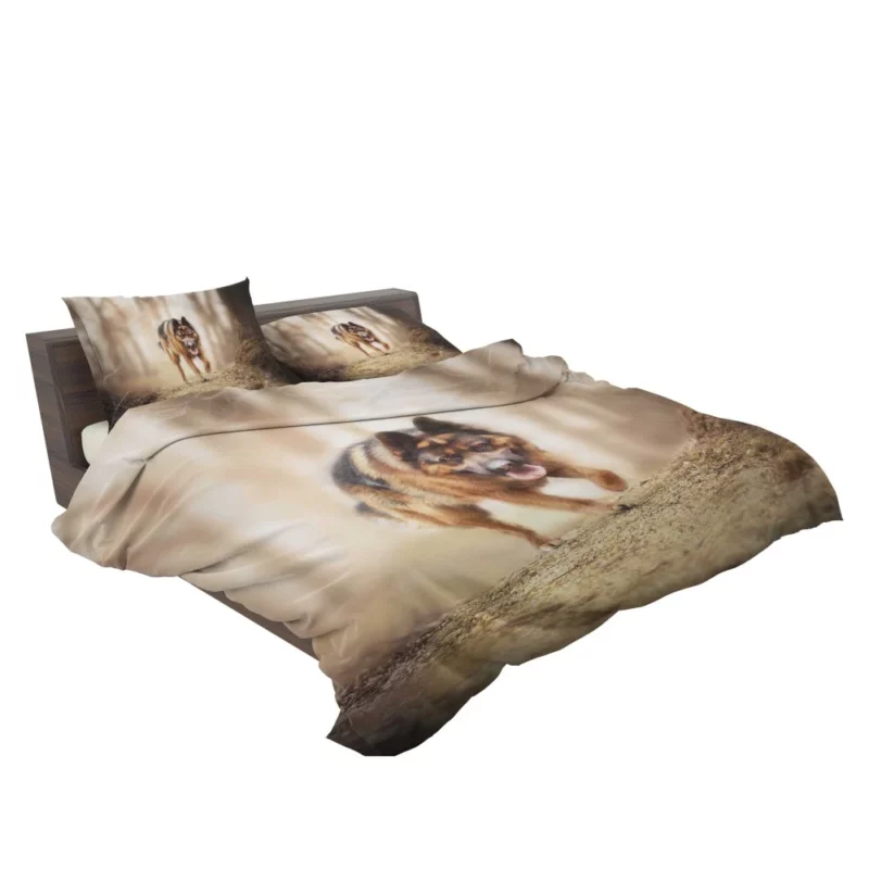 German Shepherd Depth of Field Gaze Bedding Set 2