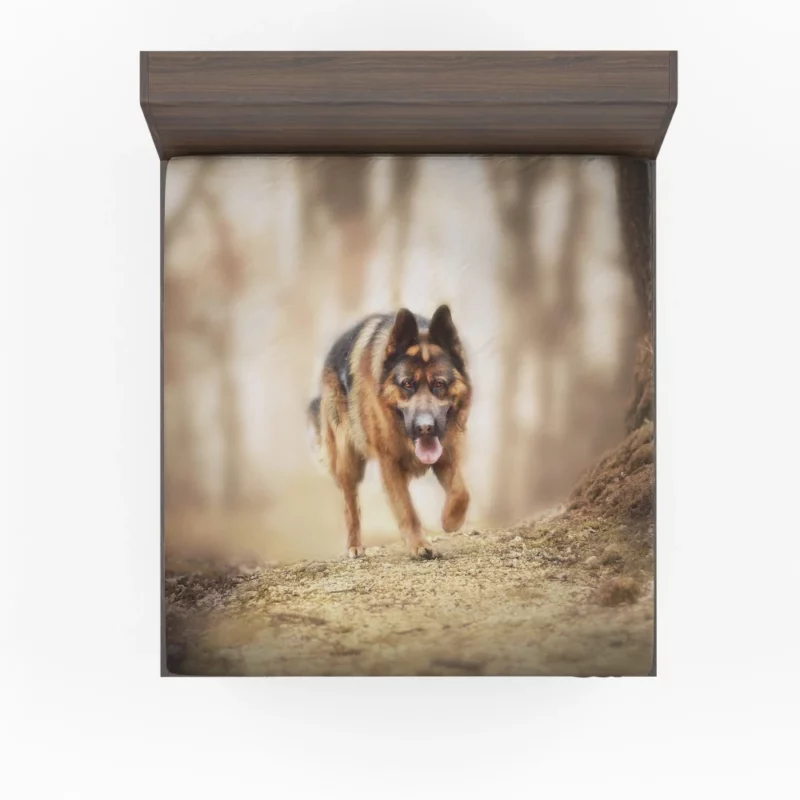 German Shepherd Depth of Field Gaze Fitted Sheet 1