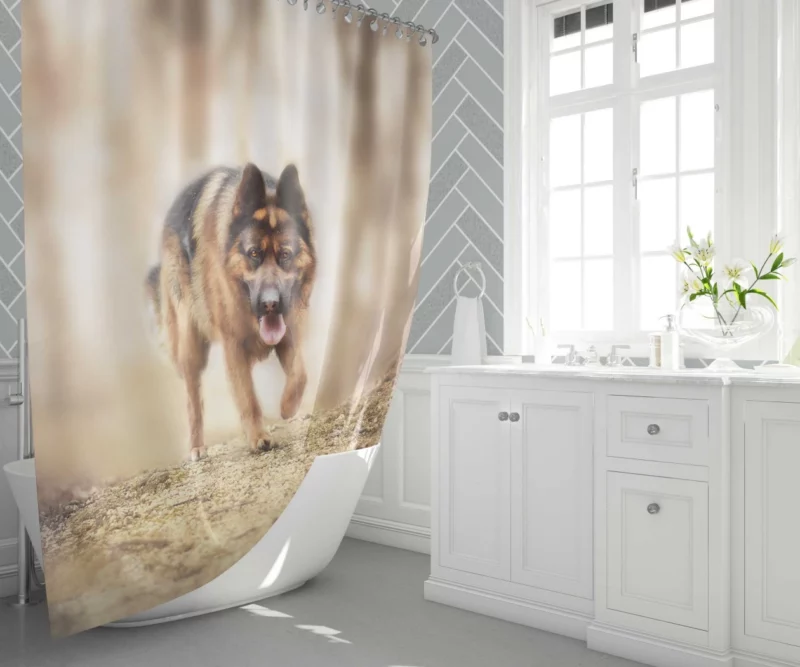 German Shepherd Depth of Field Gaze Shower Curtain 1