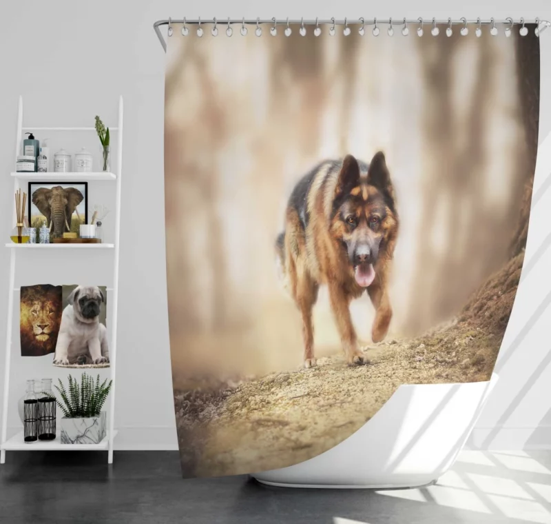 German Shepherd Depth of Field Gaze Shower Curtain