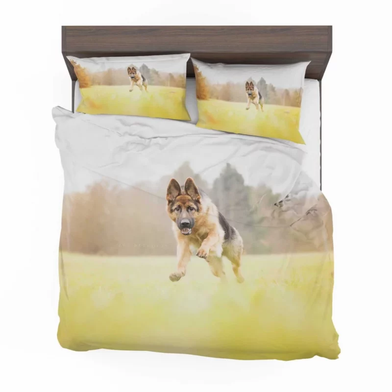 German Shepherd Depth of Field Majesty Bedding Set 1