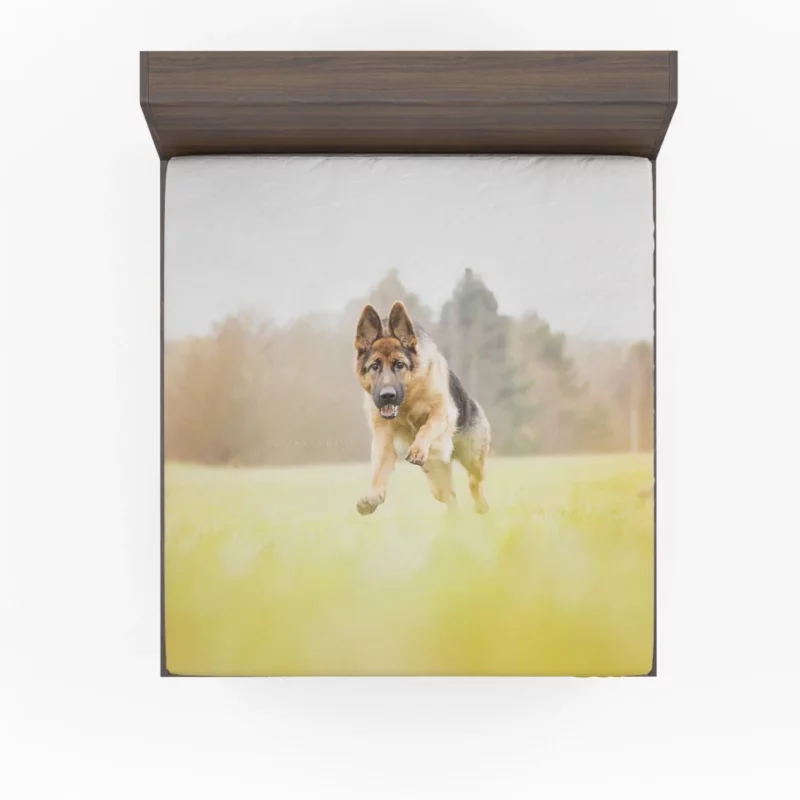 German Shepherd Depth of Field Majesty Fitted Sheet 1