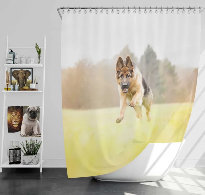 German Shepherd Depth of Field Majesty Shower Curtain