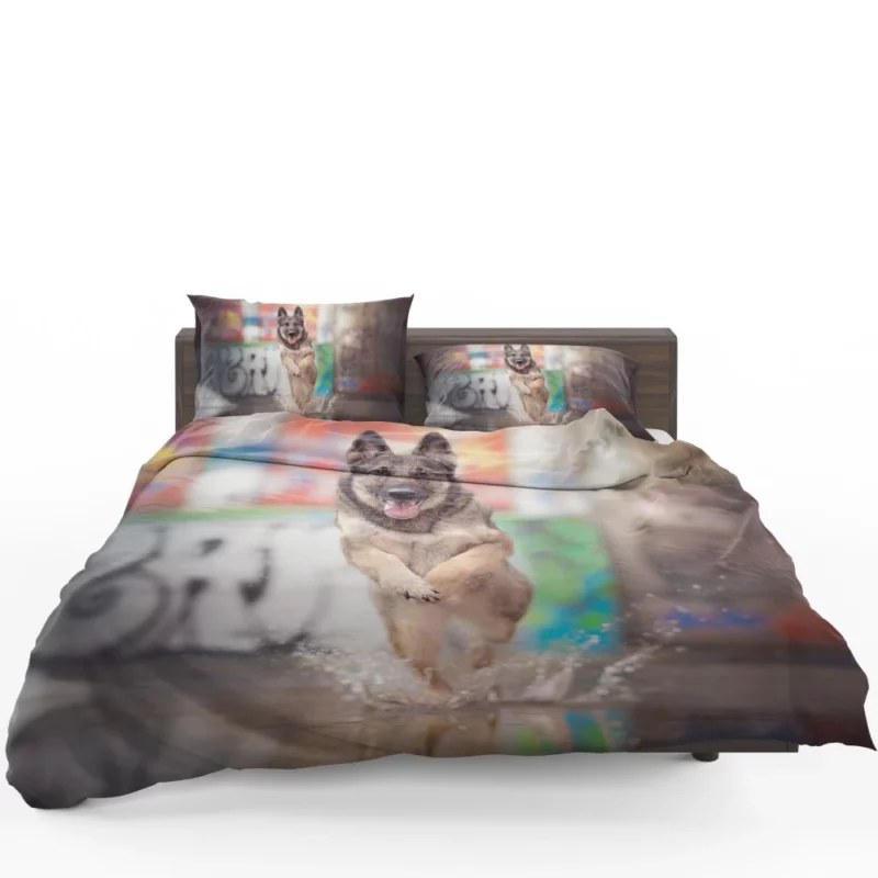 German Shepherd Depth of Field Splash Bedding Set