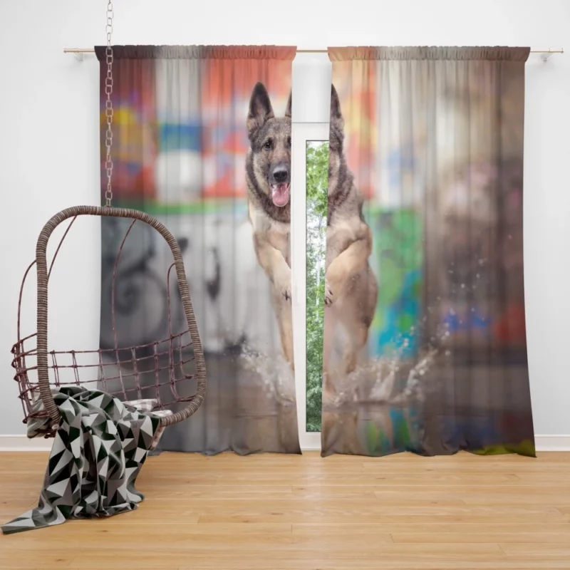 German Shepherd Depth of Field Splash Curtain