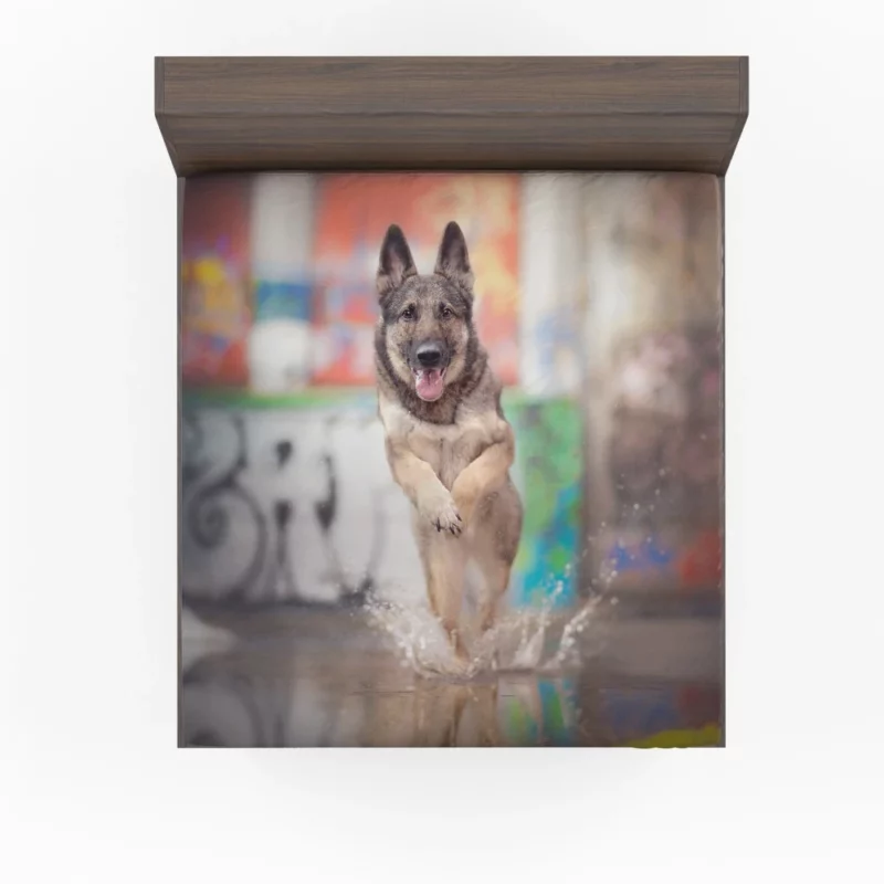 German Shepherd Depth of Field Splash Fitted Sheet 1