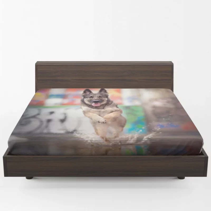 German Shepherd Depth of Field Splash Fitted Sheet