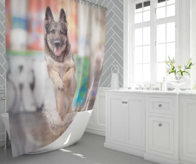 German Shepherd Depth of Field Splash Shower Curtain 1