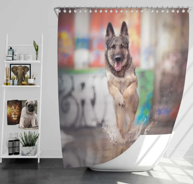 German Shepherd Depth of Field Splash Shower Curtain