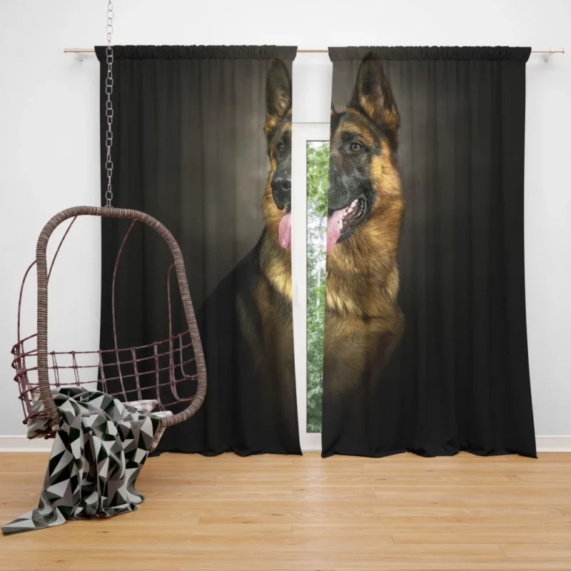 German Shepherd Dignified Portrait Canine Majesty Curtain