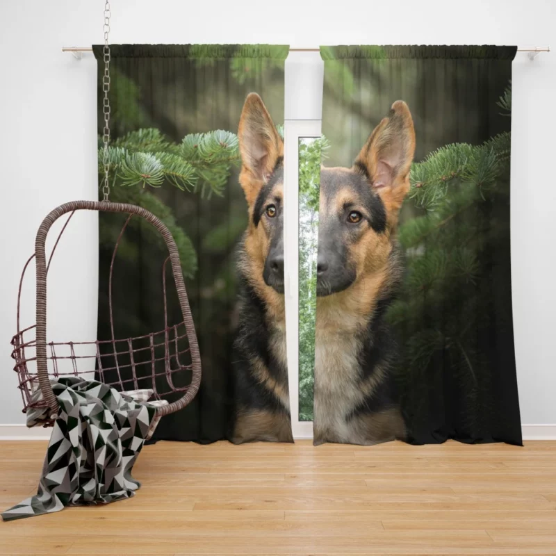 German Shepherd Enigmatic Persona Curtain