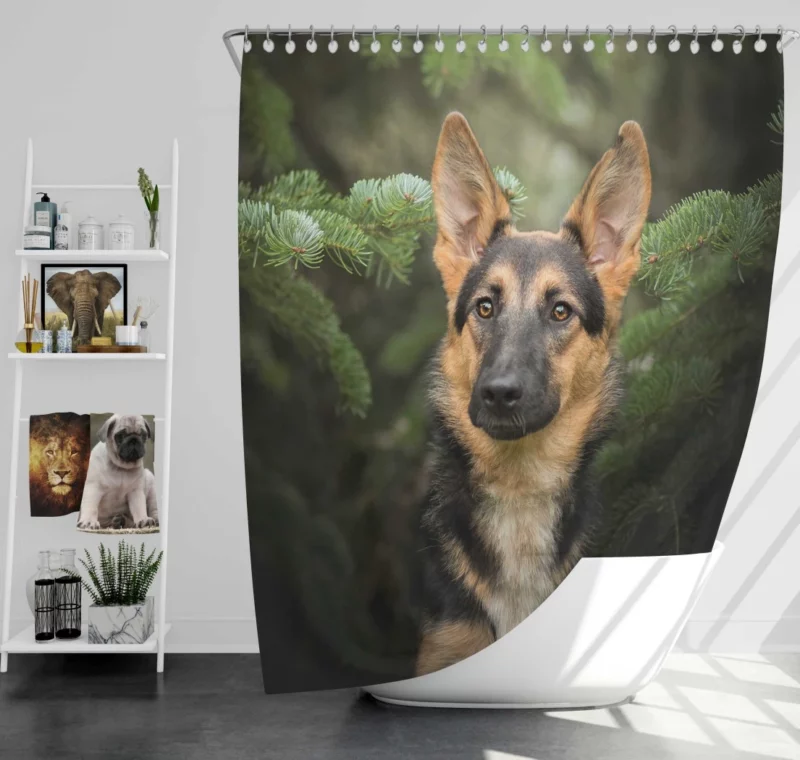 German Shepherd Enigmatic Persona Shower Curtain